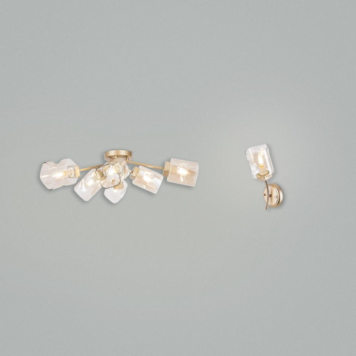 Потолочная люстра Freya Isabella FR5095CL-06G