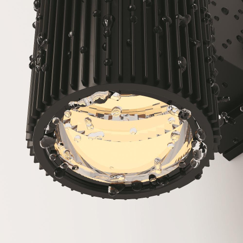 Настенный светильник Maytoni Outdoor O419WL-02B