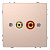 Аудиорозетка Schneider Electric Merten D-Life MTN4350-6051