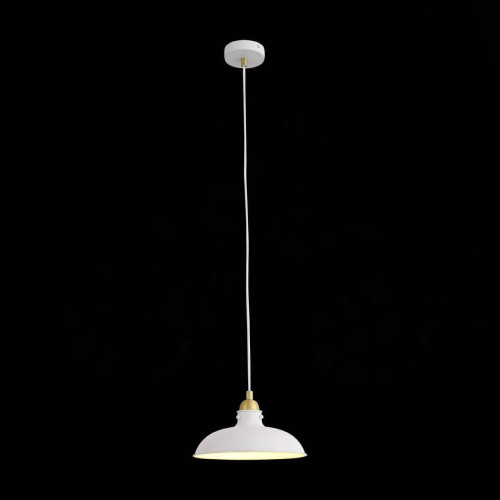 Подвесной светильник ST Luce Pietanza SL323.503.01