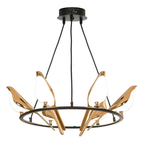 Подвесная люстра Lussole LOFT Jasper LSP-8641 Подвесная люстра Lussole LOFT Jasper LSP-8641
