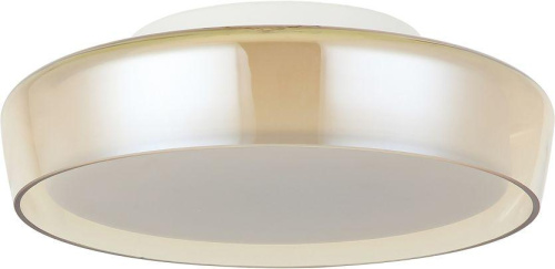 Светильник потолочный Stilfort 4027/05/01C-IP серия Ipstat