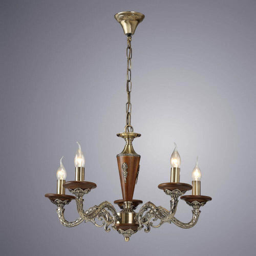 Подвесная люстра Arte Lamp Verdi A5603LM-5AB Подвесная люстра Arte Lamp Verdi A5603LM-5AB