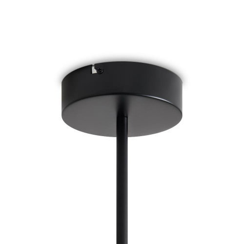 Потолочный светильник Freya FR6178CL-L30B Потолочный светильник Freya FR6178CL-L30B