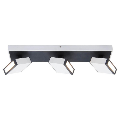Светодиодный спот Lussole Loft LSP-8013 Светодиодный спот Lussole Loft LSP-8013