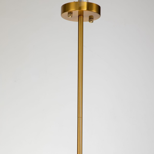 Подвесная люстра Favourite Nimbus 2996-10P Подвесная люстра Favourite Nimbus 2996-10P
