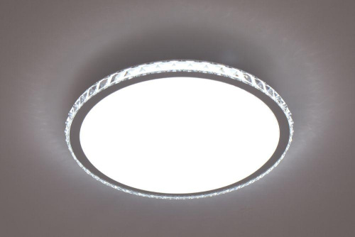 Потолочный светодиодный светильник Escada 10270/S LED Потолочный светодиодный светильник Escada 10270/S LED