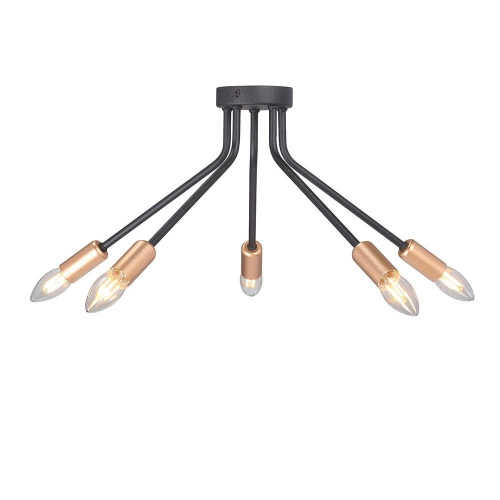 Потолочная люстра Vitaluce V3020-1/5PL Потолочная люстра Vitaluce V3020-1/5PL