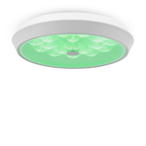 Потолочный светодиодный светильник Freya Cells FR10012CL-L24W