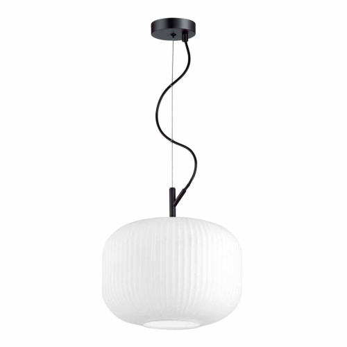 Подвесной светильник Odeon Light Roofi 4754/1