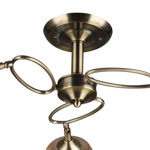 Потолочная люстра Wedo Light Эмма 65921.01.05.03