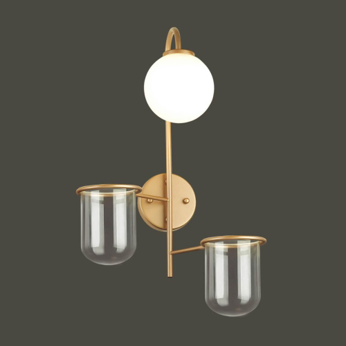 Настенный светильник Odeon Light Flower 4682/1W