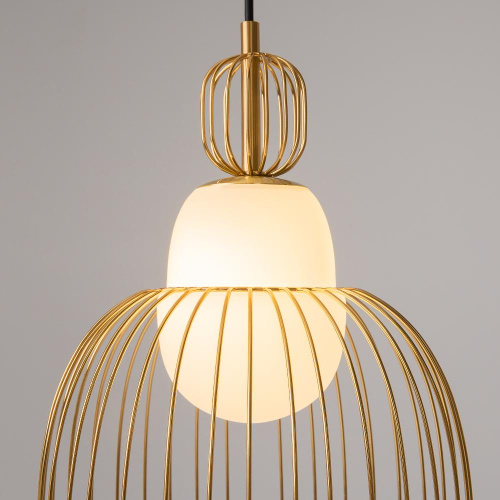 Подвесной светильник Maytoni MOD376PL-01G1