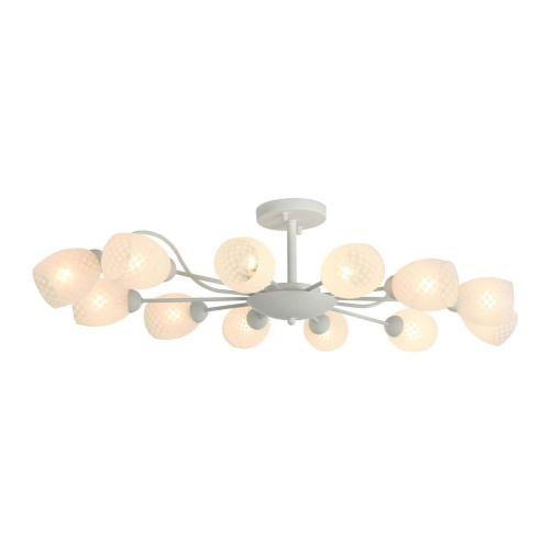 Потолочная люстра F-Promo Cluster 2266-12U