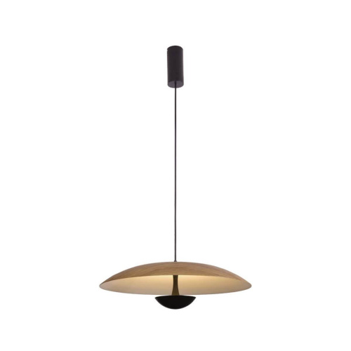 Подвесной светильник Lumien Hall Arta 8007/1PL-WD Подвесной светильник Lumien Hall Arta 8007/1PL-WD
