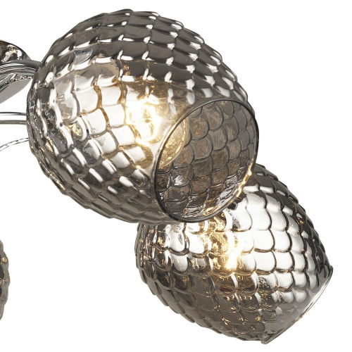 Потолочная люстра Wedo Light Leonessa 66591.01.03.05