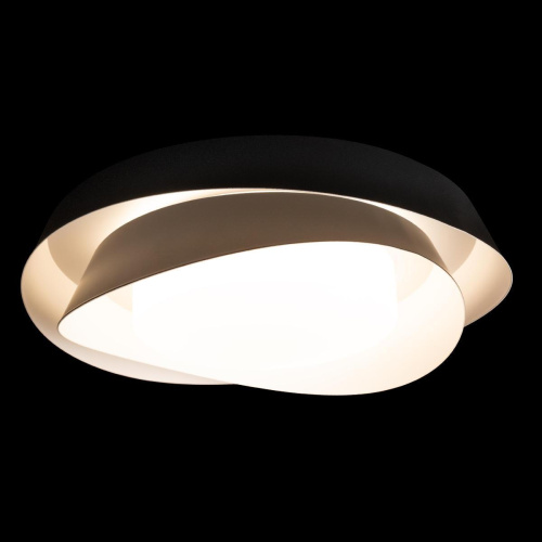 Потолочный светильник Loft IT Petale 10256 Black Потолочный светильник Loft IT Petale 10256 Black