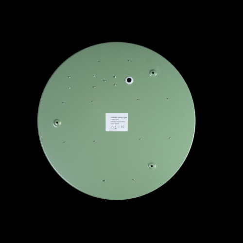 Потолочный светодиодный светильник Loft IT Axel 10003/24 green Потолочный светодиодный светильник Loft IT Axel 10003/24 green