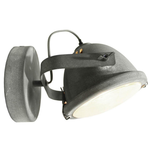 Спот Lussole Loft LSP-9880 Спот Lussole Loft LSP-9880