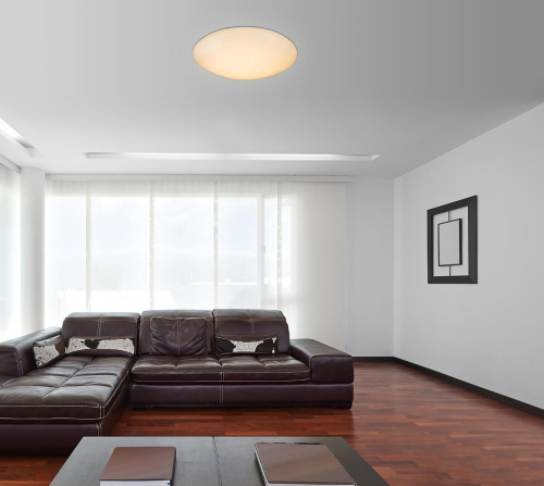 Потолочный светодиодный светильник Globo Atreju I 48363-90RGB Потолочный светодиодный светильник Globo Atreju I 48363-90RGB