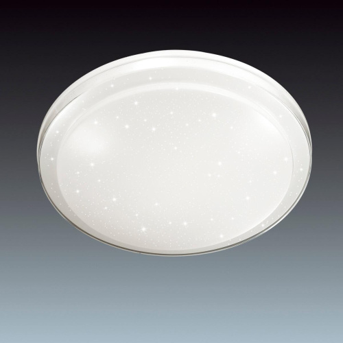 Настенно-потолочный светодиодный светильник Sonex Pale Kasta 2015/D