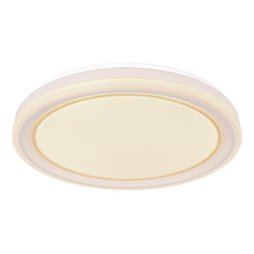 Потолочный светодиодный светильник Globo Tebby 48274-40