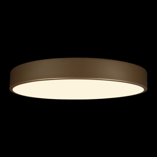 Потолочный светодиодный светильник Loft IT Flims 10228/A Потолочный светодиодный светильник Loft IT Flims 10228/A