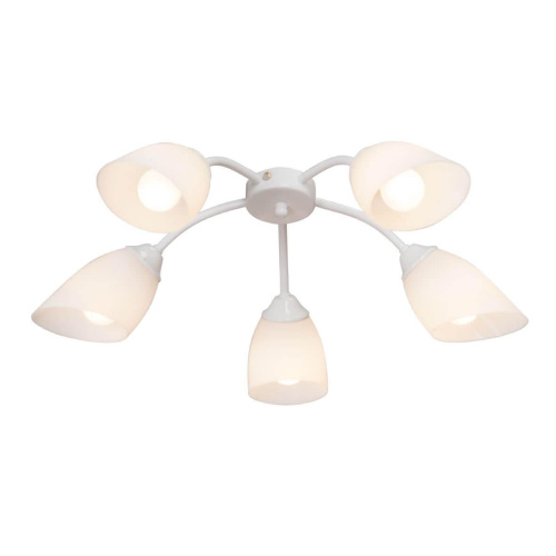 Потолочная люстра Vitaluce V3194/5PL Потолочная люстра Vitaluce V3194/5PL