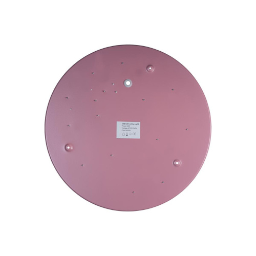 Потолочный светодиодный светильник Loft IT Axel 10003/24 pink Потолочный светодиодный светильник Loft IT Axel 10003/24 pink