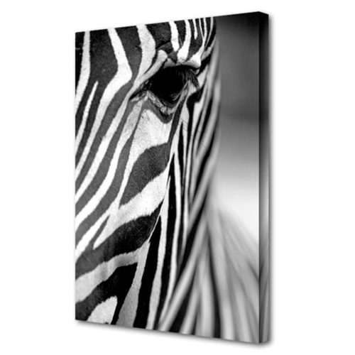 Холст Toplight Животные 50х75х3см TL-H3011