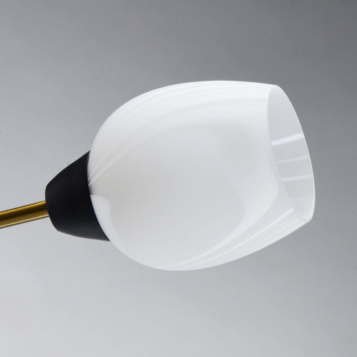 Потолочная люстра MW-Light Олимпия 638018406 Потолочная люстра MW-Light Олимпия 638018406