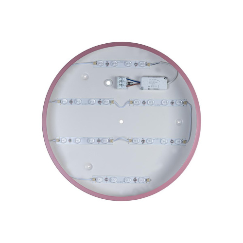 Потолочный светодиодный светильник Loft IT Axel 10003/24 pink Потолочный светодиодный светильник Loft IT Axel 10003/24 pink