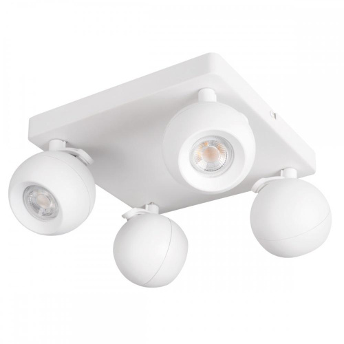 Спот Eglo Tamara 1 33678