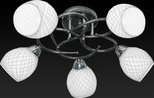 Потолочная люстра Toplight Jeanine TL7430X-05BP