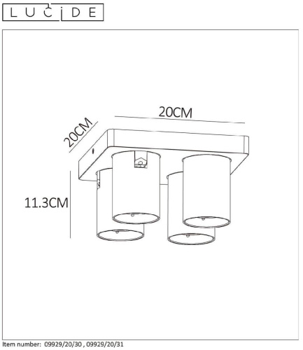 Спот Lucide Nigel 09929/20/31