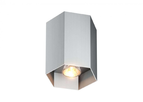 Потолочный светильник Zumaline Polygon cl 1l 20067-AL