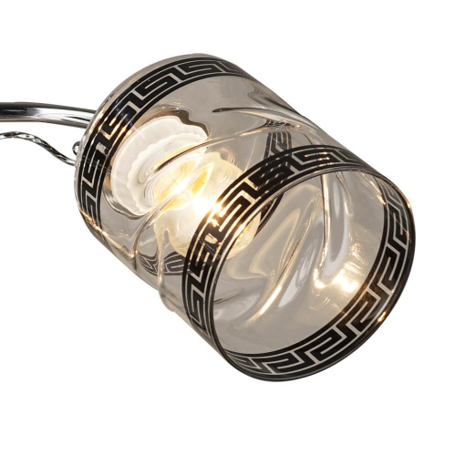 Потолочная люстра Wedo Light Альдено 66365.01.03.03