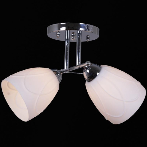 Потолочный светильник Reluce 12452-0.3-02 Потолочный светильник Reluce 12452-0.3-02