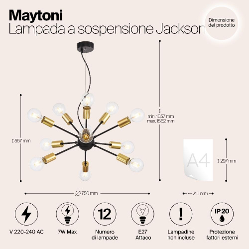 Подвесная люстра Maytoni Jackson T546PL-12B