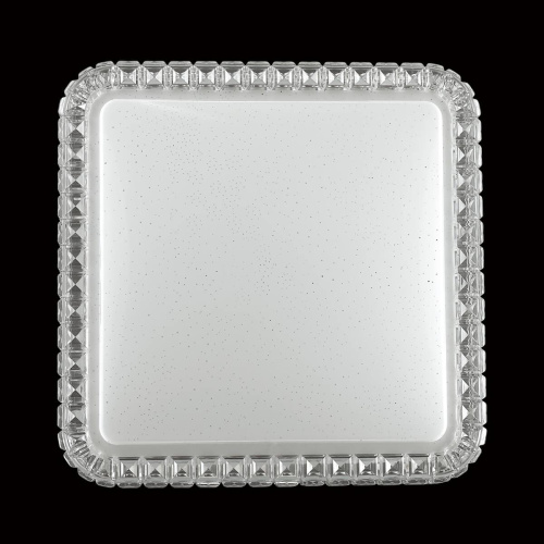 Настенно-потолочный светодиодный светильник Sonex Pale Karola 2035/DL