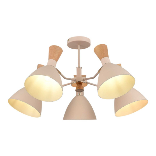 Потолочная люстра Evoluce Vista SLE1256-502-05