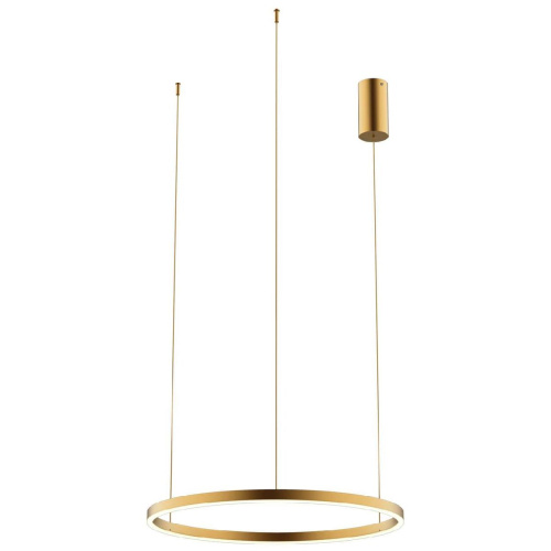 Подвесной светодиодный светильник Kink Light Тор 08213,33P(3000K) Подвесной светодиодный светильник Kink Light Тор 08213,33P(3000K)