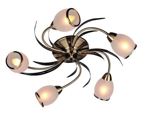 Потолочная люстра Omnilux OML-35827-05