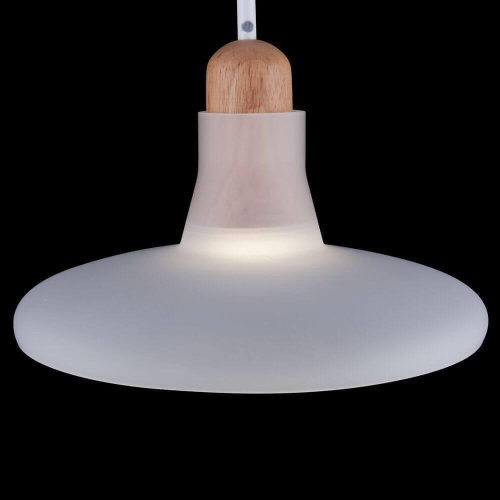 Подвесной светильник Maytoni Ola P017PL-01W