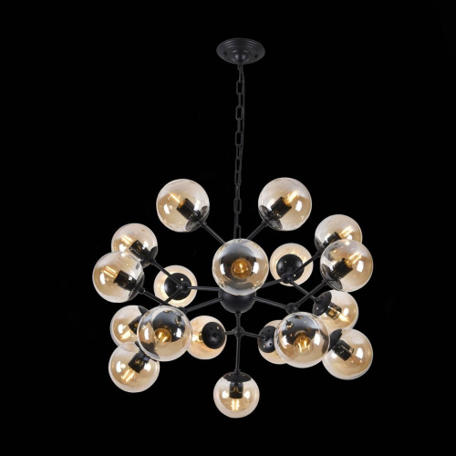 Потолочная люстра Evoluce Lacotta SLE154913-16