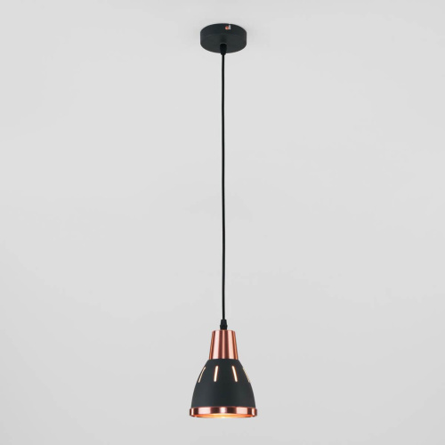 Подвесной светильник Eurosvet 50173/1 черный