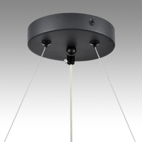 Подвесная люстра Lumion Comfi Luazana 8242/6 Подвесная люстра Lumion Comfi Luazana 8242/6