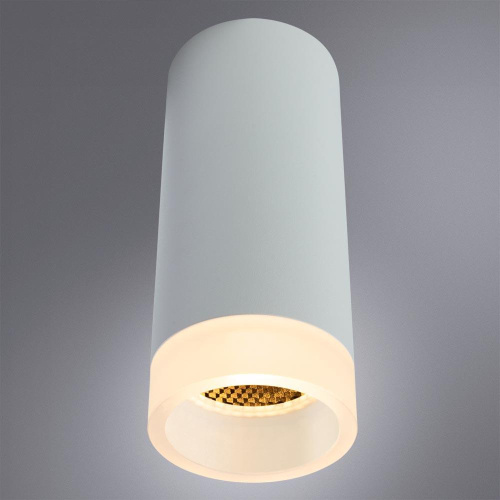 Потолочный светильник Arte Lamp Ogma A5556PL-1WH Потолочный светильник Arte Lamp Ogma A5556PL-1WH