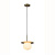 Подвесной светильник F-Promo Roshni 3050-1P