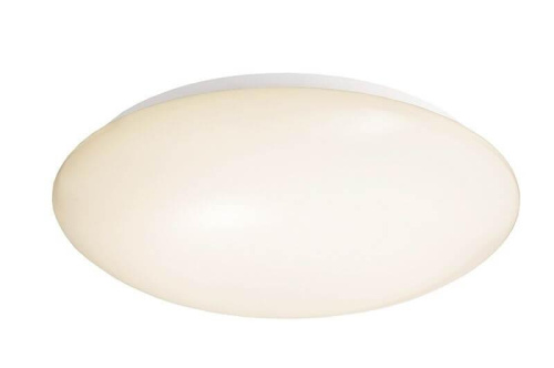 Потолочный светильник Deko-Light Euro LED 342010